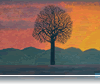 SENZA OMBRA